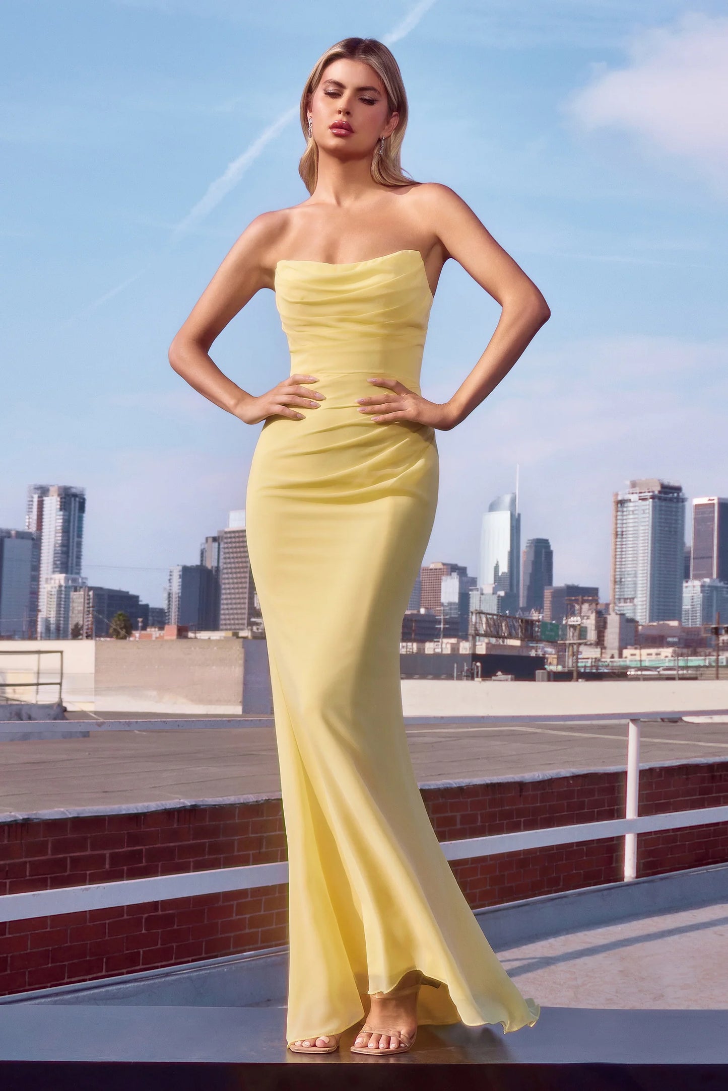 Light Yellow Chiffon